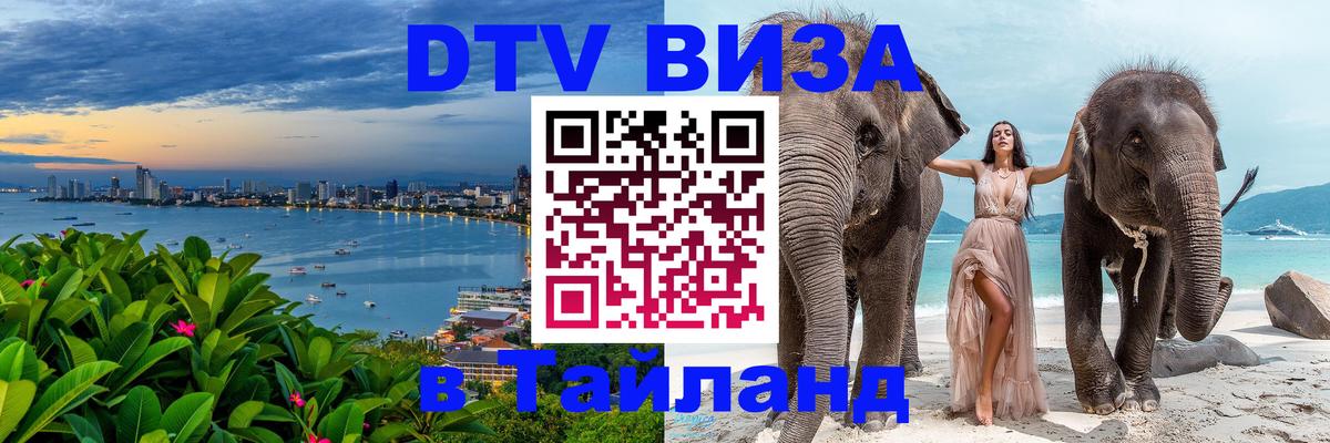 Оформление DTV визы под ключ: стоимость и тарифы, только загранпаспорт - Саранск 